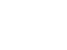 logo Wingolite blanc