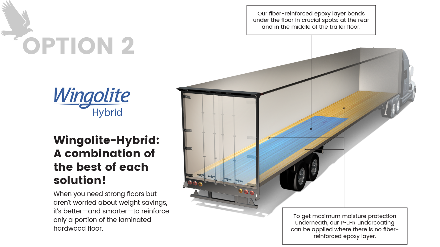 Option 2 Wingolite