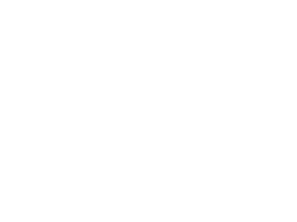 logo Wingolite blanc
